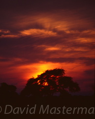 d17-luangwa-sunset.jpg